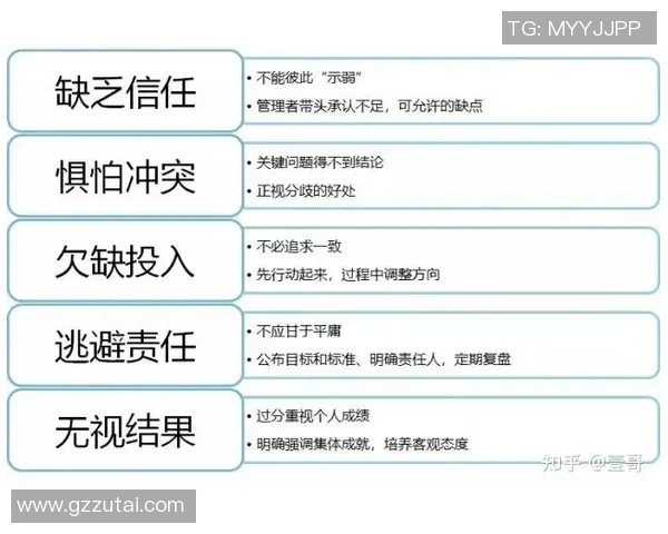 杭州篮球队反击体系解析：高效战术与团队协作的完美结合